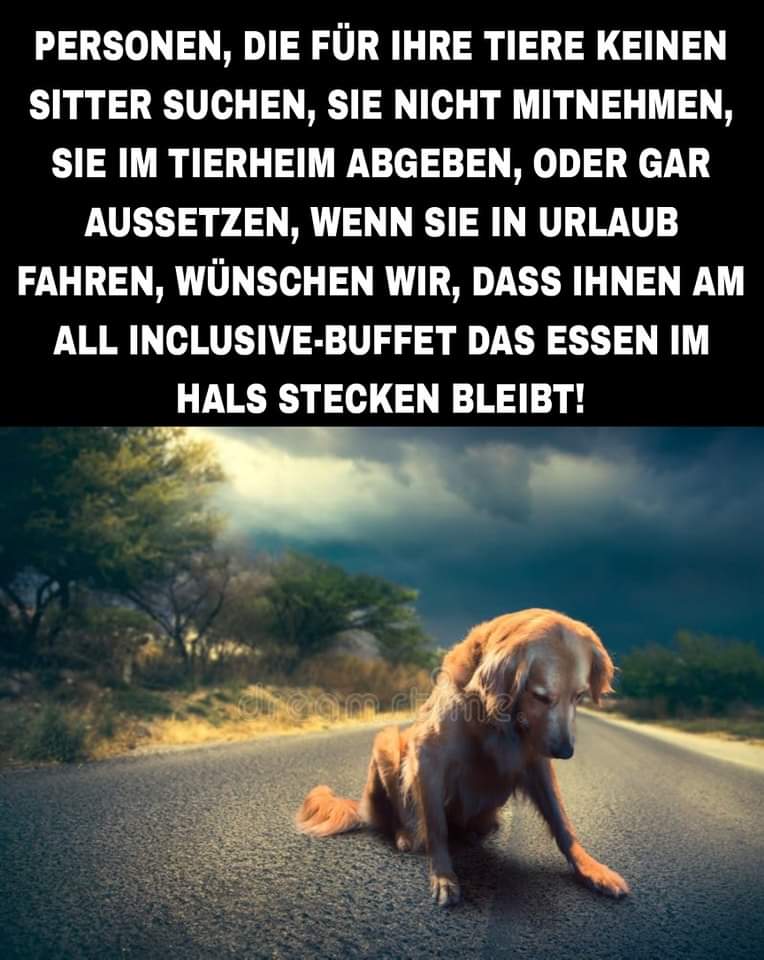Gemeinsam für die Tiere tweet media