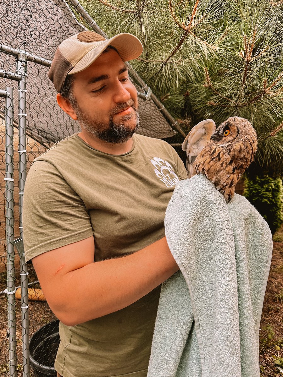 Vet Crew tweet media