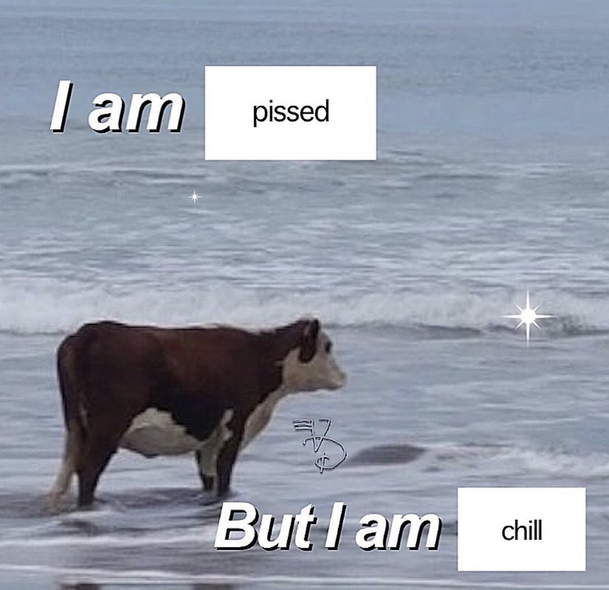 The Notorious J.O.V. (@whotfisjovana) on Twitter photo 