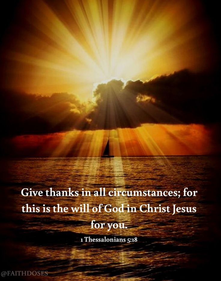 Liz_529's tweet photo. Rejoice always, 
pray without ceasing, 
in everything give thanks; for this is the will of God in Christ Jesus for you. 
- 1 Thessalonians 5:16-18 https://t.co/pBvRGfUzTy