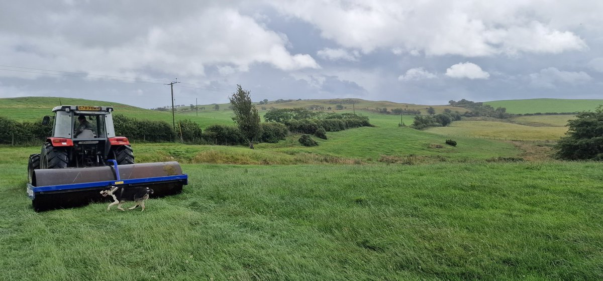 geraint davies (@gerfferm) on Twitter photo 