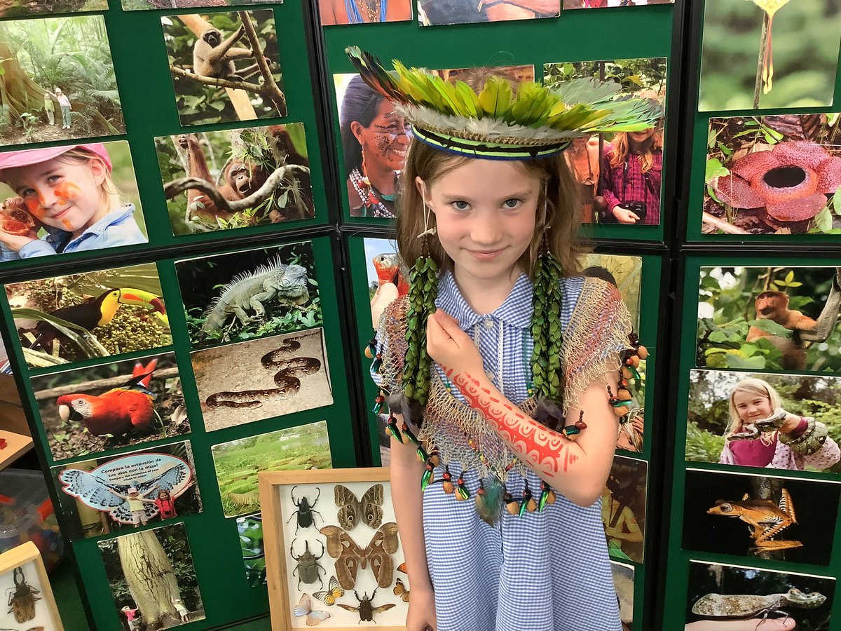 Willaston_KS2's tweet photo. Year 4 Rainforest day https://t.co/qUKJCyNBFF