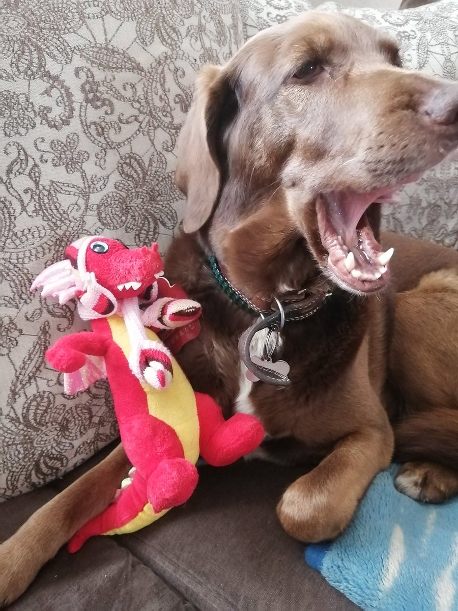 Scary beasts 😂😂😂
youtube.com/victoriaart99
T.me/cutecatsanddog
Instagram.com/catsand1dog

#Memes #memesdaily #dogstory #doglover #TwitterOfTime #TwitterNatureCommunity #dogs #DogsofTwittter #DogLover #DogsOnTwitter #DOGE #dogslife #humor #toys #ToyStory #memesdaily #memeslover