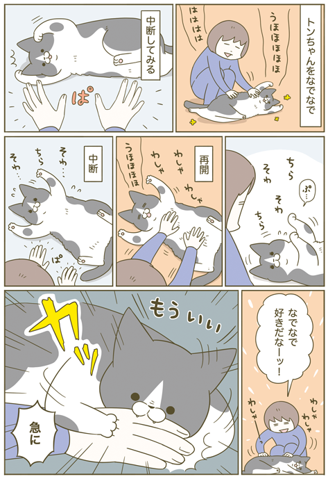 「もう撫でないんですか?」の顔がかわいくて ついやっちゃう