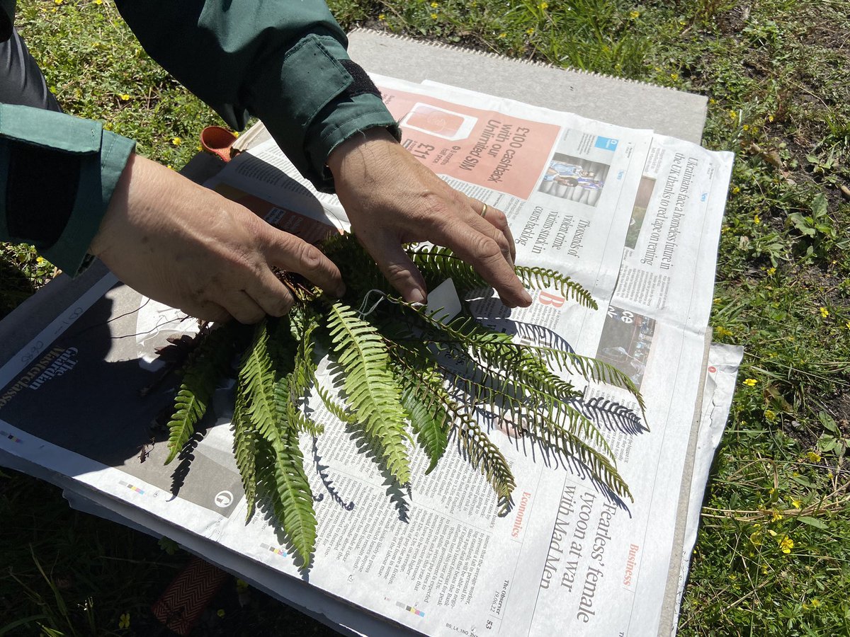 Nick Tribe tweet media