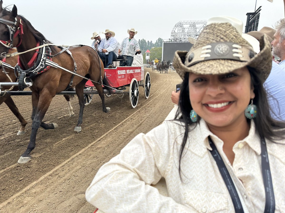 Amanda Affonso tweet media