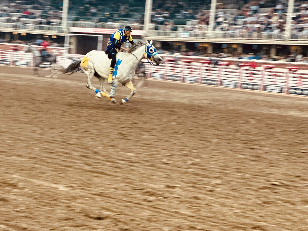 Amanda Affonso tweet media