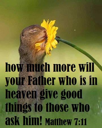 SharonLManning1's tweet image. Do you like to see or meet people in high position?
#MOSTHIGH #throughJESUS wakemyear.wordpress.com/2023/07/15/tas…