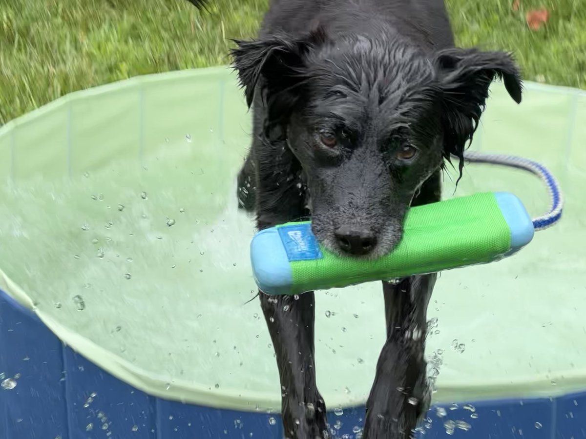 Meredith Moore tweet media