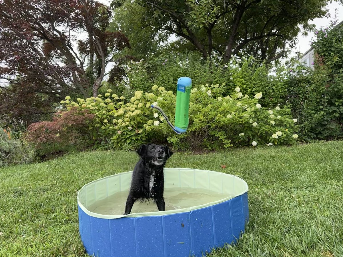 Meredith Moore tweet media