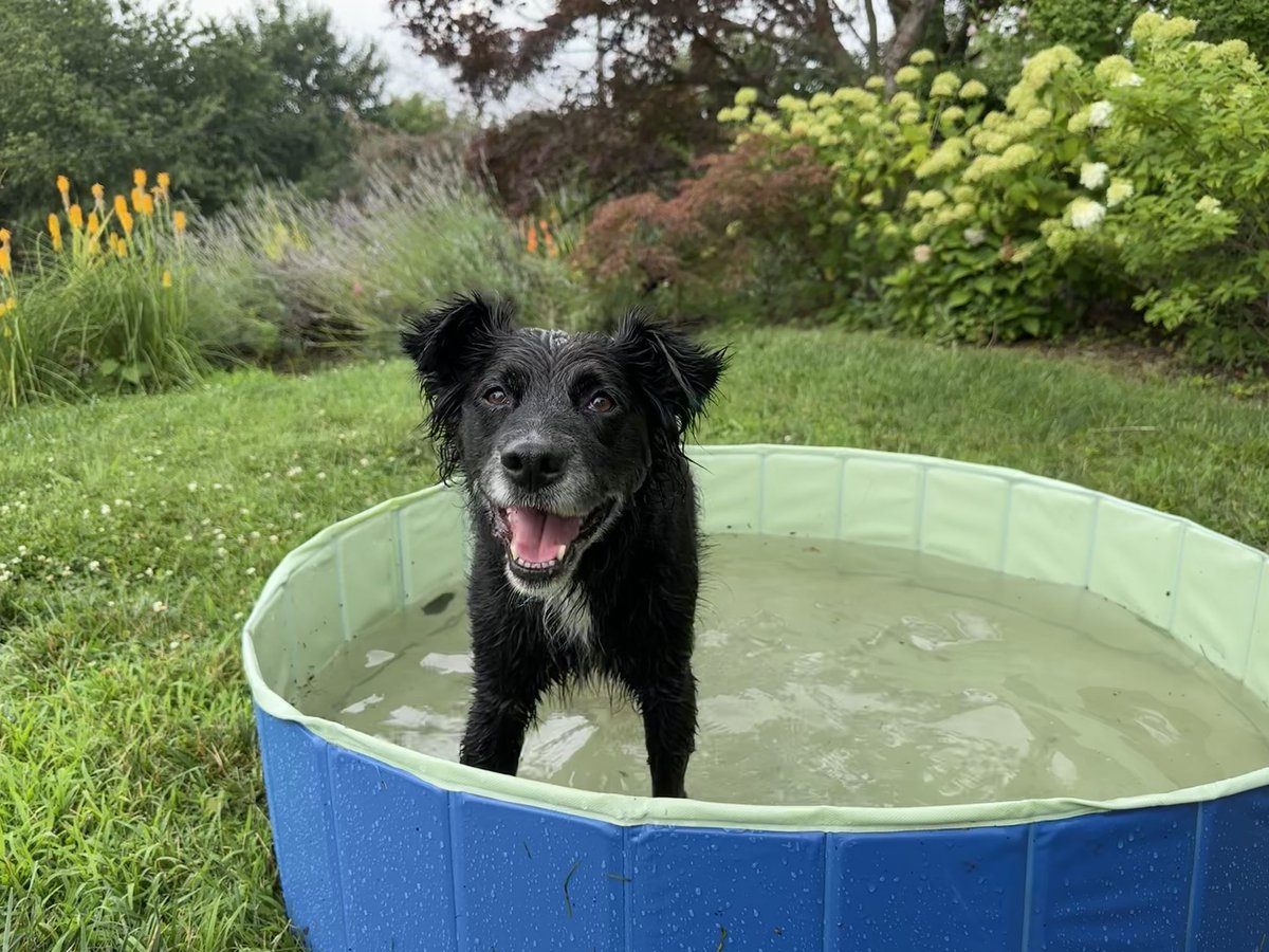 Meredith Moore tweet media