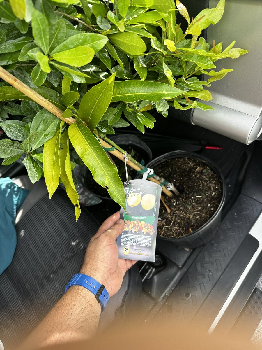 JuankyDiaz's tweet photo. Thank you @MiamiDadeCounty and #adoptatree looking forward to collaborating @TLCabrera3 for our #foodforrest this school year https://t.co/yAJRJkFeEH