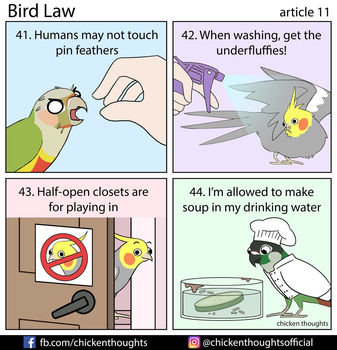 Bird law article 11 starring Ruto (@dinsfire64), Yellow Bird (owner of Whitney Louise), Nappi (@novicere), and Mercury!