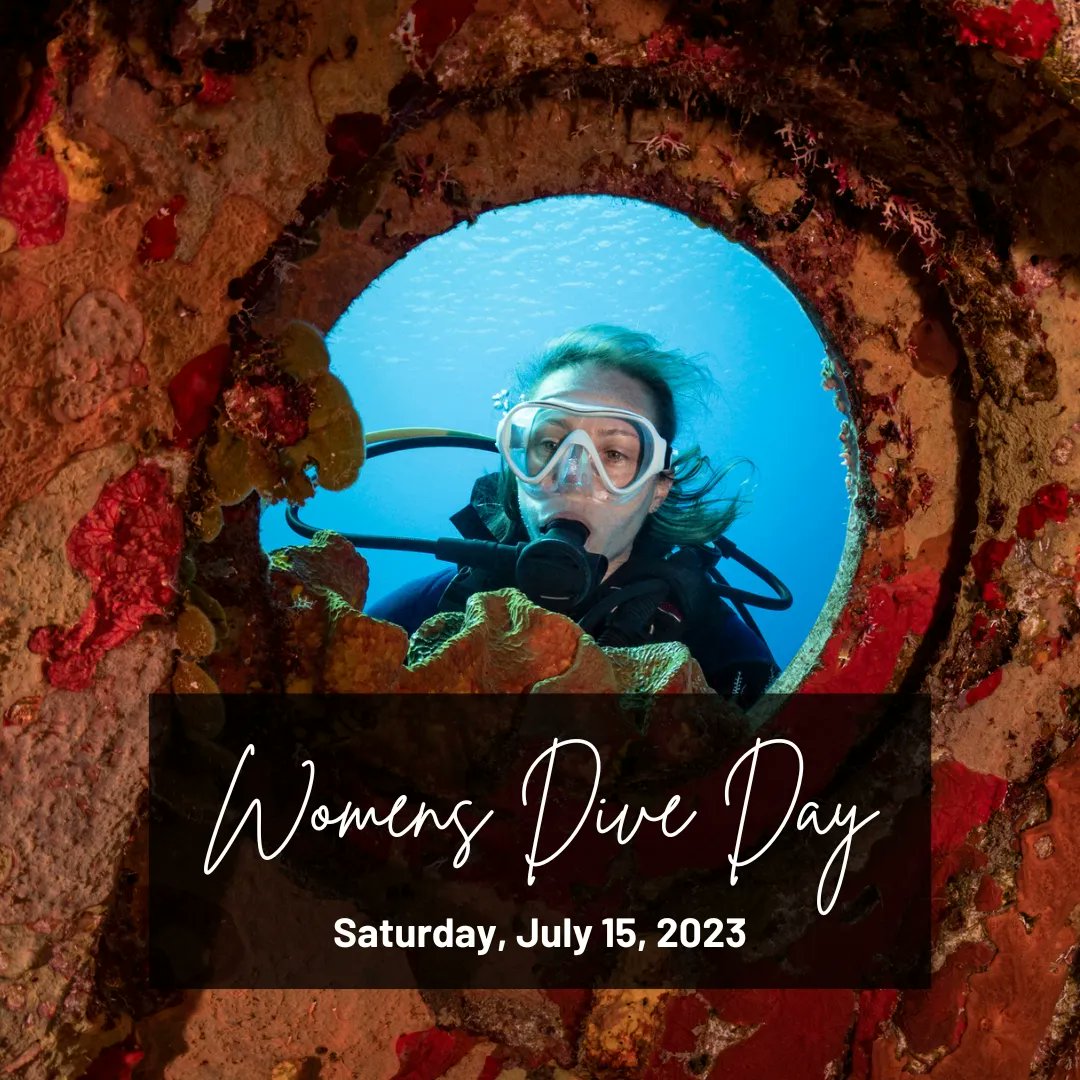 Divers Direct tweet media