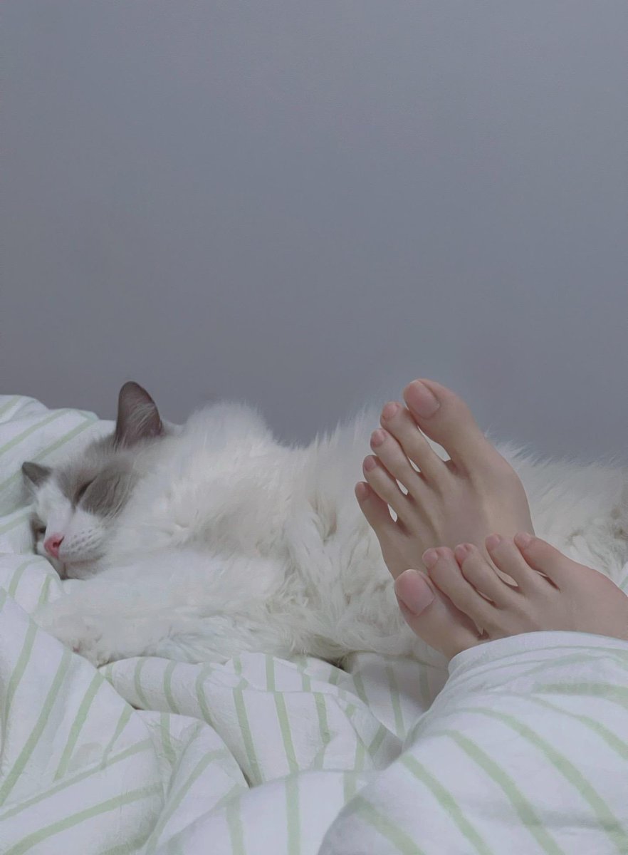 足控王戴支野 (@kingofthefeet98) on Twitter photo 