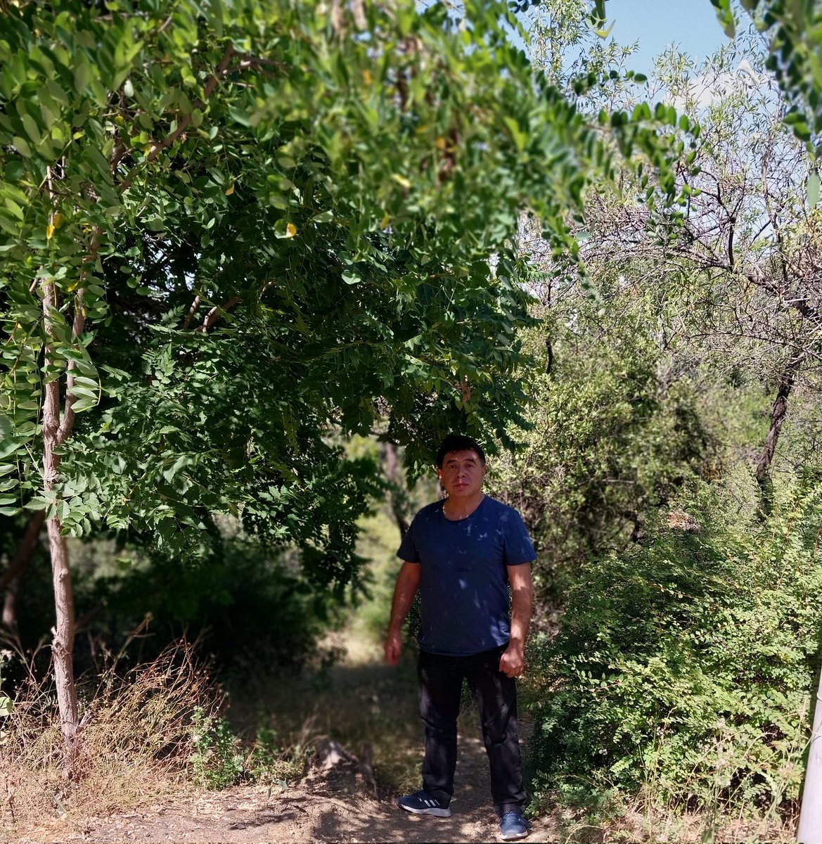 Ankara Botanik Parkı 15/07/2023  saat 15.30