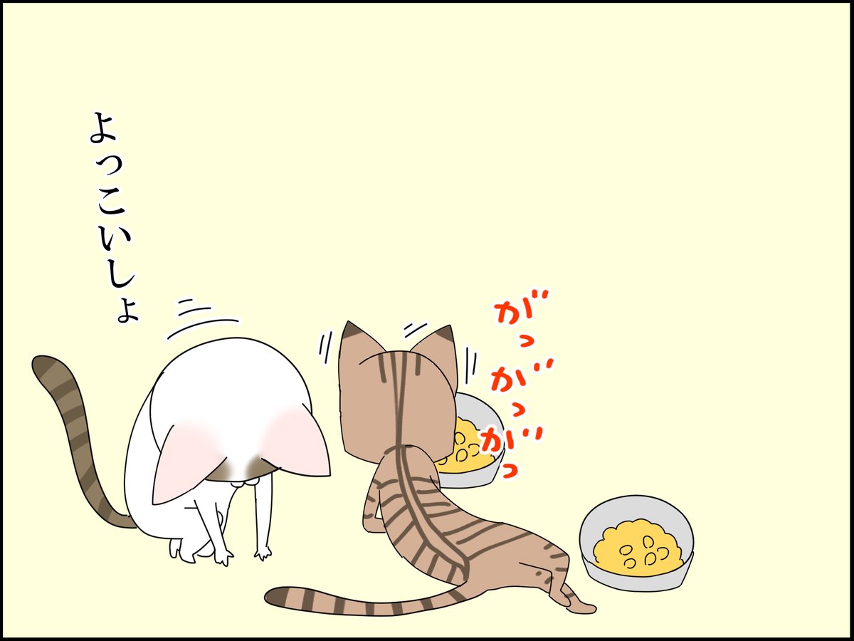 やれやれな猫 2/3 