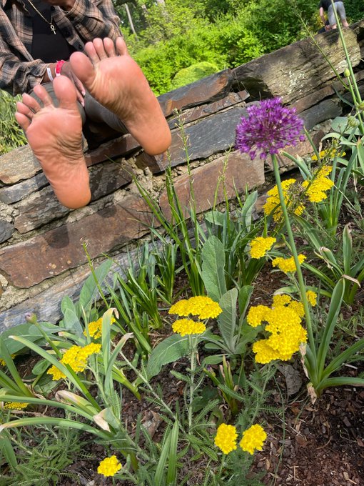 Good morning. Have a soleful Saturday 🥰 https://t.co/BPHirJ5pcz