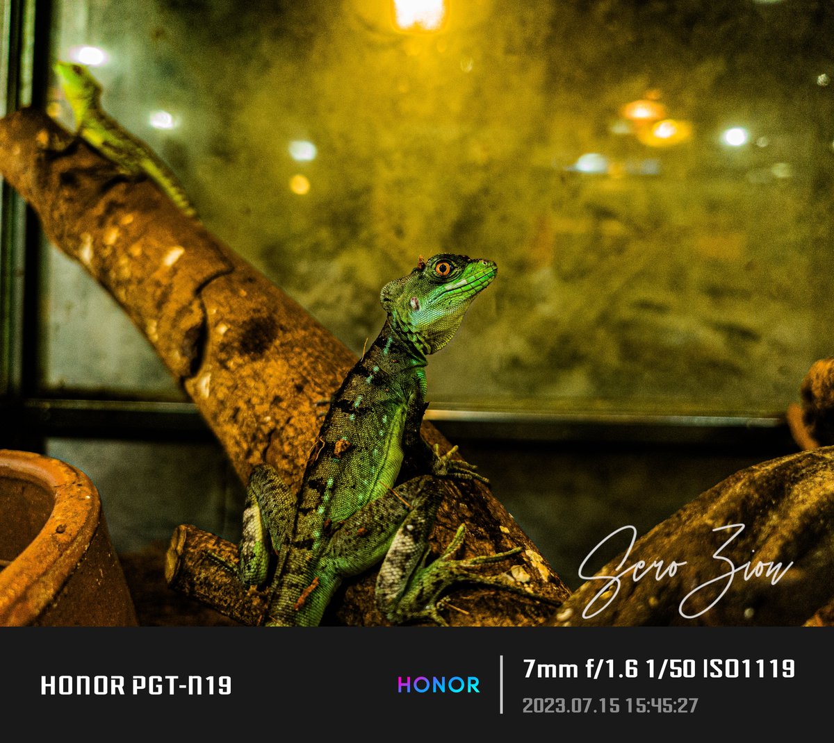 FallenKelvin's tweet photo. #project365 #day305 #year1 #Honor #magic5Pro #EyeofMuse #streetphotography #EditedonLightroom #mobilegraphy #UnleashthePowerofMagic #bestofmwc2023 #UnleashtheMagicofLens #HonorFalconCameraSystem #MagicofLight #PowerofLens #MagicofMicrocosm #Snapdragon8Gen2 #MotionSensingCapture https://t.co/wRTLo5OD0c