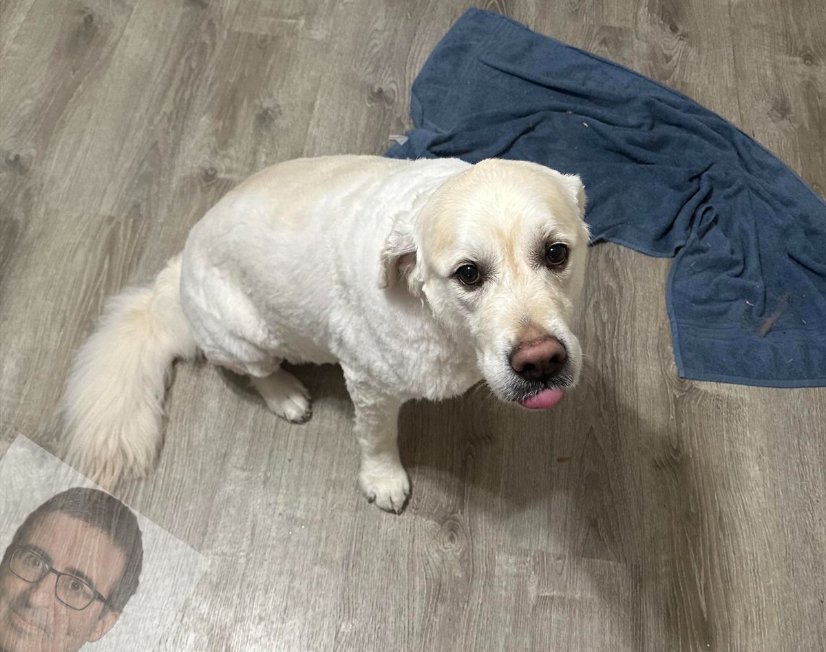 A happier day tweet media