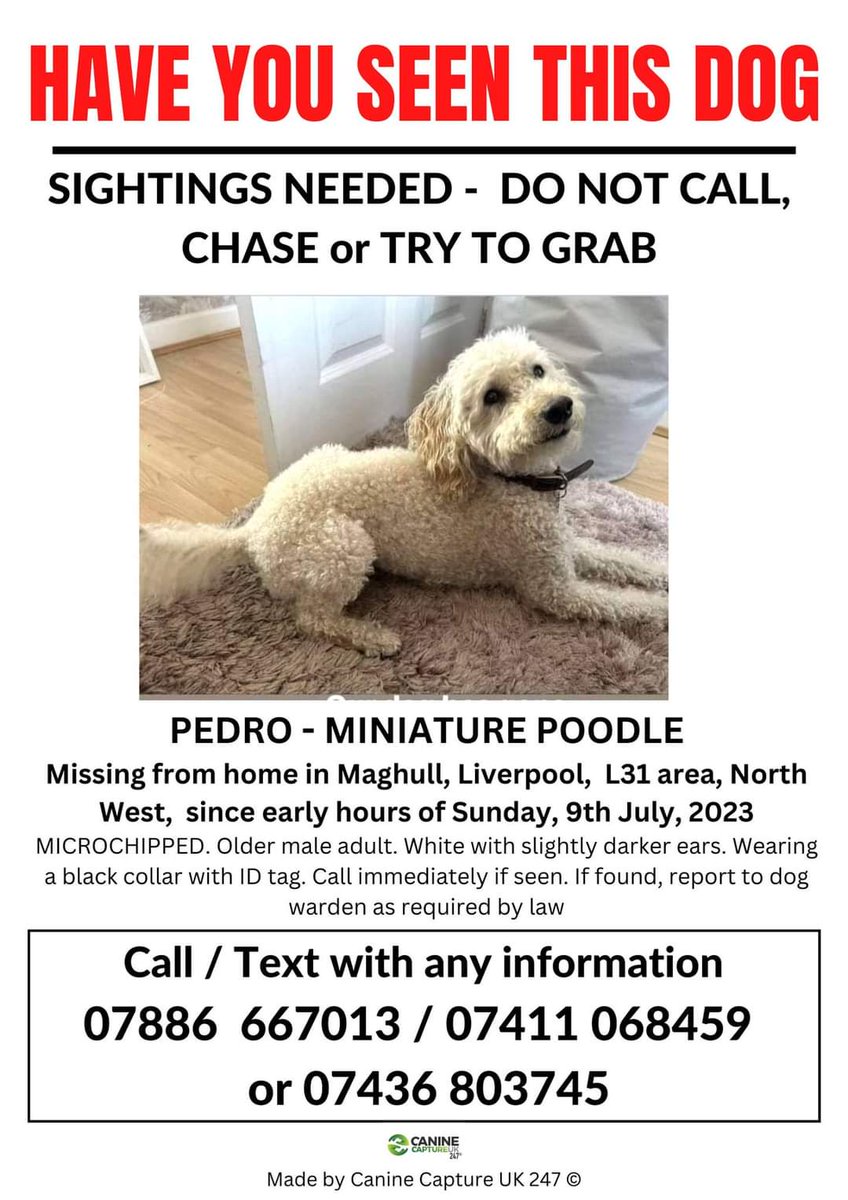 ryanblair_13's tweet photo. Pedro has been missing for 6days now! 

Please retweet and keep sharing, we are desperate for a sighting

If seen 
❌DO NOT chase
❌DO NOT call or shout
❌DO NOT try to grab

✔️Do contact us or dog lost
✔️Do note direction of travel
✔️ Do try to take a picture 

Thank you!! https://t.co/9sMfq7xMFT