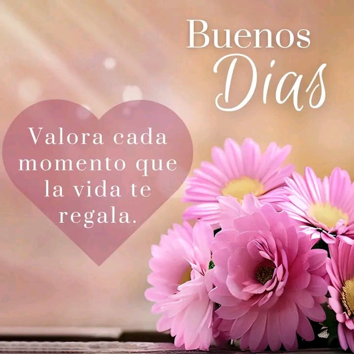 Yova (@yova47865351) on Twitter photo 