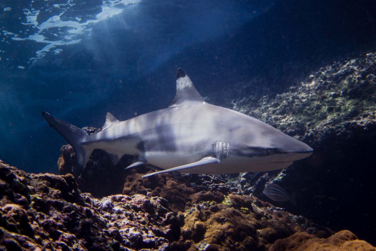 DanThΞMan Photography 📸 tweet media