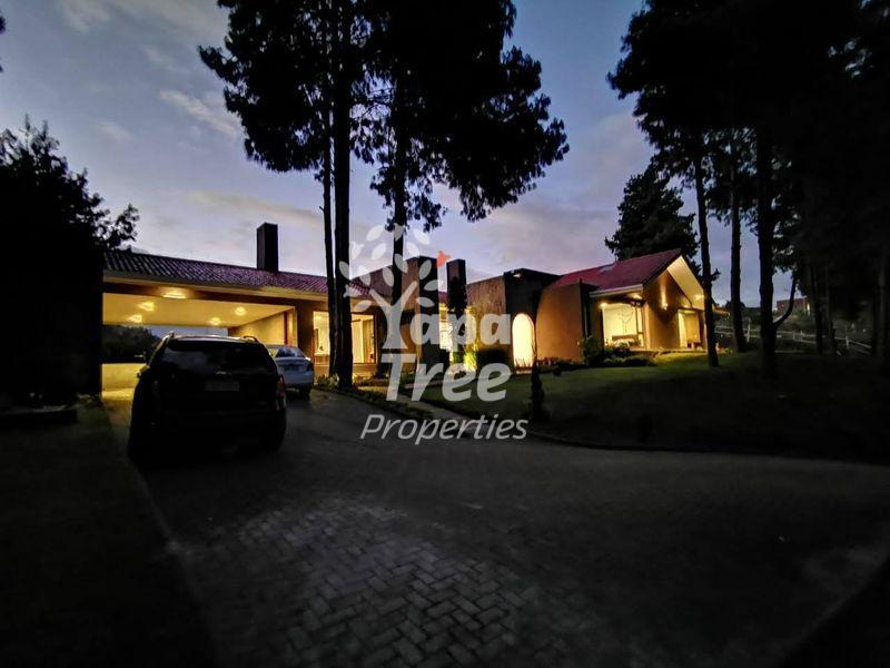 YapaTreeRE's tweet photo. Fantastic 4BDR Home Surrounded by Nature

Sector: Hacienda El Alamo, Tarqui

 415K

More images &amp; info on our site.  https://t.co/jDJOt6r8zH #Azuay #BienesRaícesCuenca #cuencaecuador🇪🇨 #CuencaRealEstate #InmobiliriaCuenca #ForSaleCuenca https://t.co/DtuADqbRSE