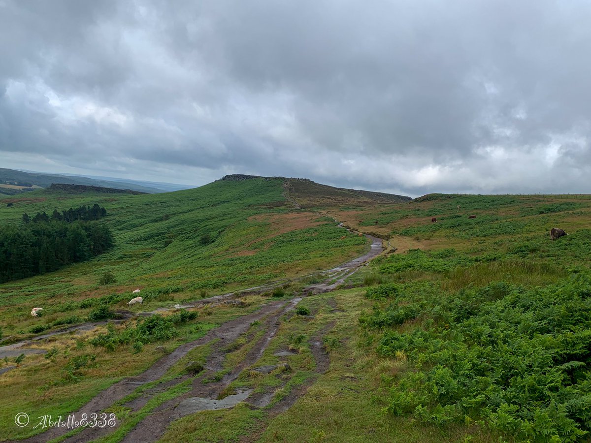 abdalla8338's tweet image. Lovely walk up to Higger Tor

#UpperBurbage #HiggerTor #peakdistrict