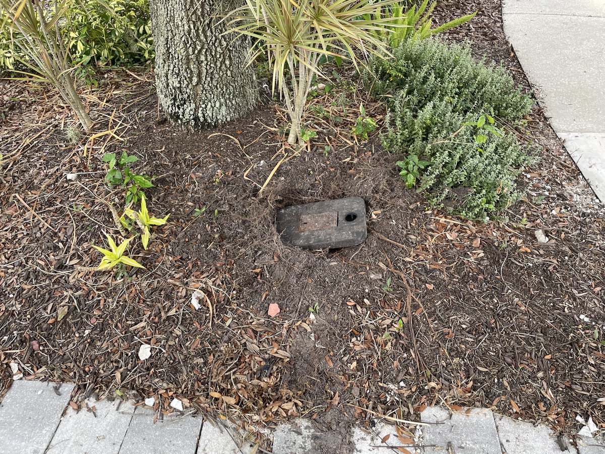 4Miles2go's tweet photo. Is this really the way to show a customer where the utility meter is located? Didn't know was there until I came home and found this; it's never been read since I purchased the place in 2018. @PascoWater https://t.co/kKyJtMS4h3