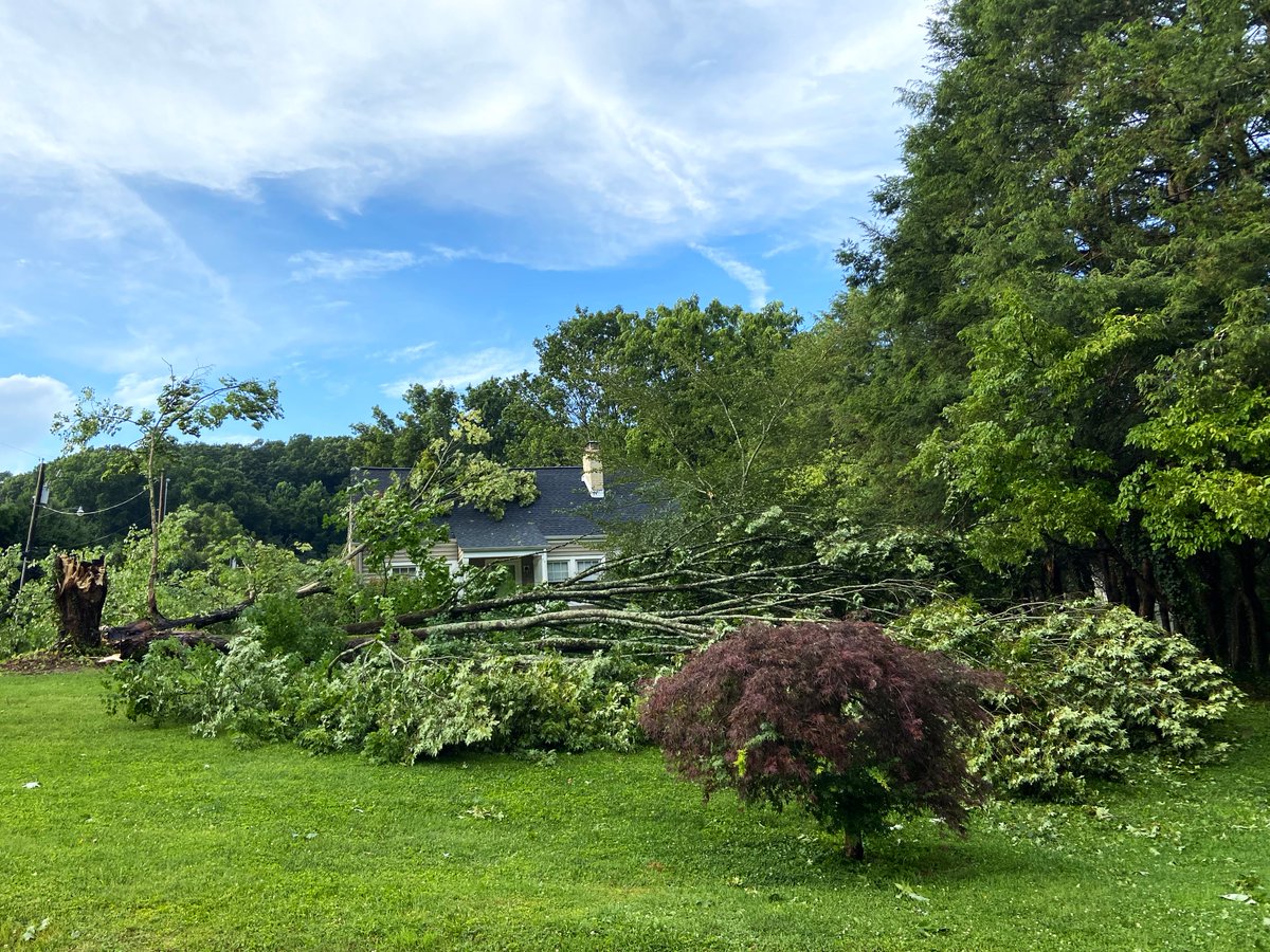 KevinMyattWx's tweet photo. Trees blown down in thunderstorm winds at Bristol, Virginia, on Friday. (Photo by @SusanCameronBHC of @CardinalNewsVA). More storms pop up in SW/Sside Va on this Saturday, with squall line or clusters moving in from west by evening. Heavy rain, gusty winds in worst storms. https://t.co/tvjGMXkIJz