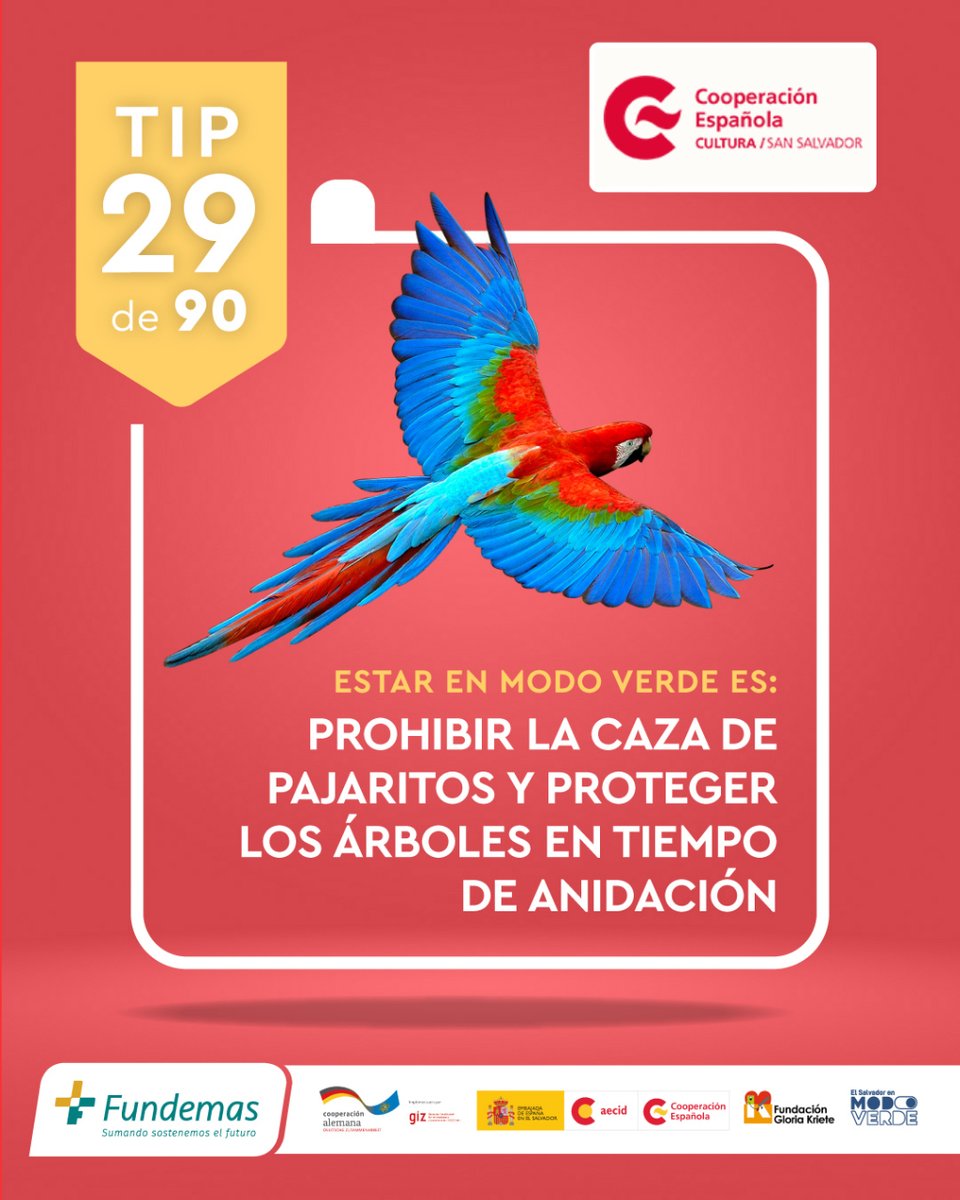 CCESV's tweet photo. #TIP29 de ¡90 Días en 🟢ModoVerde! #ElSalvadorVerde@ModoVerdeSV
@FUNDEMAS https://t.co/k59VLyK1Be