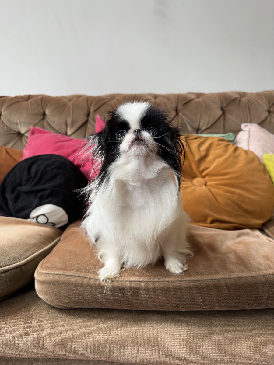 Heff has a new friend Kluska