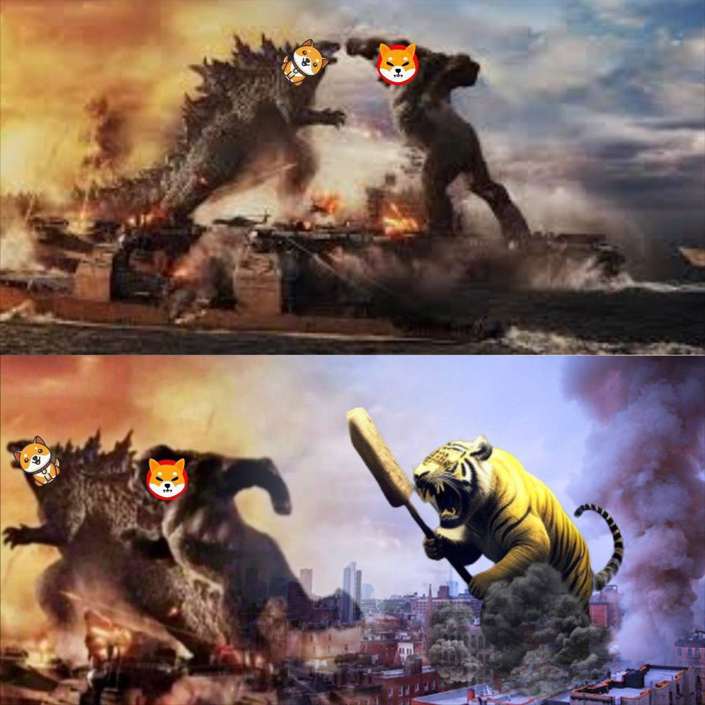 BnbTigerInu's tweet photo. #BNBTIGER🐅 https://t.co/kX62BKzYCe