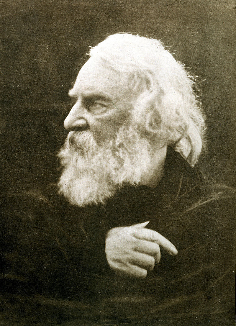 KendallHarmon6's tweet image. 'My soul is full of longing
For the secret of the Sea,
And the heart of the great ocean
Sends a thrilling pulse through me'--Henry Wadsworth Longfellow #poetry #language #evocation