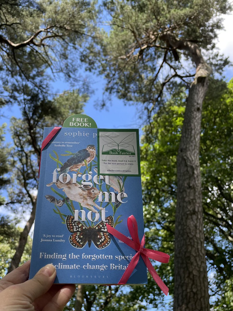 “I followed the twisted bark of an ancient Scots pine with my hands”

As part of #GreenBookFairies, The Book Fairies are sharing copies of #ForgetMeNot by #SophiePavelle! Who will be lucky enough to spot one?

#ibelieveinbookfairies #TBFForget  #Edinburgh @BloomsburyBooks