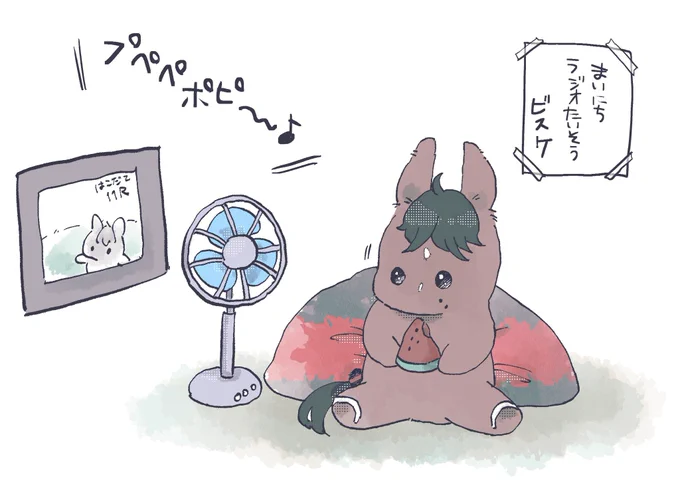 ビスケッツくんの夏休み🍉 