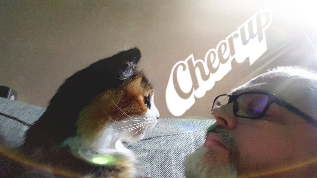 honeybug's tweet photo. @iluvcats2002 Jäger (left) consoling me with tales of her adventures during lockdown. https://t.co/MEahb8xOdD