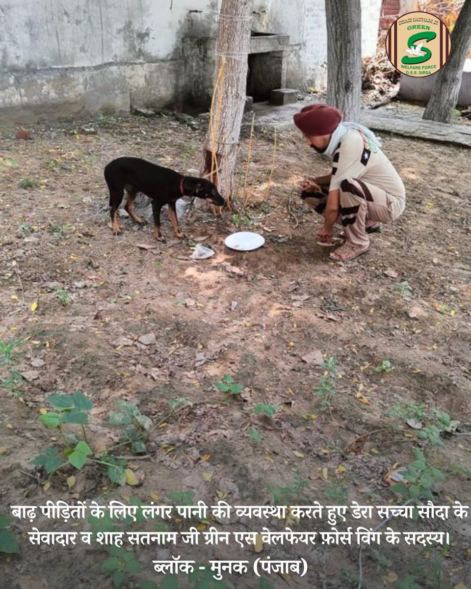 Shah Satnam Ji Green S Welfare Committee tweet media