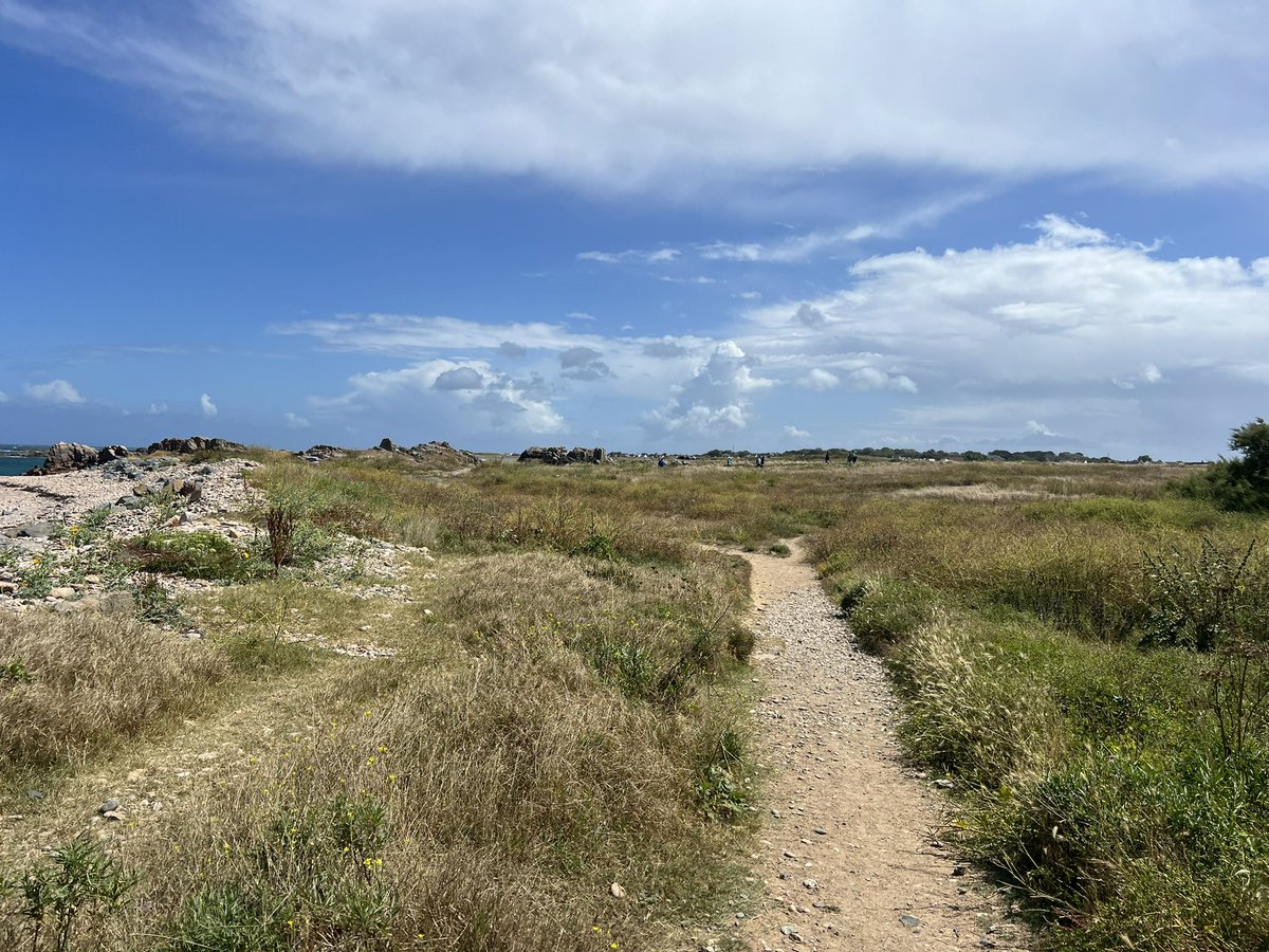 Windy around the coast today #guernsey #ultrarunning #running