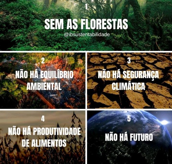 Bom dia. E vamos refletir.