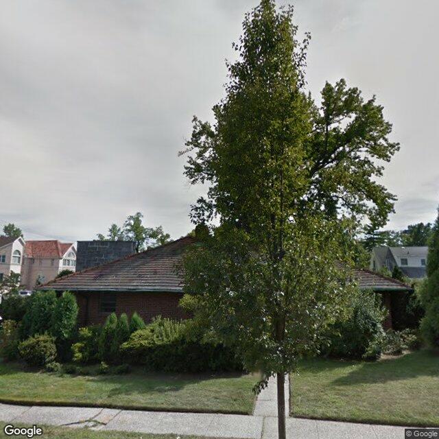 everytreenyc's tweet photo. In spring, I look like cotton candy. But my name is Callery Pear. 157-060 12 Road, Whitestone https://t.co/FyYk2gzSPj