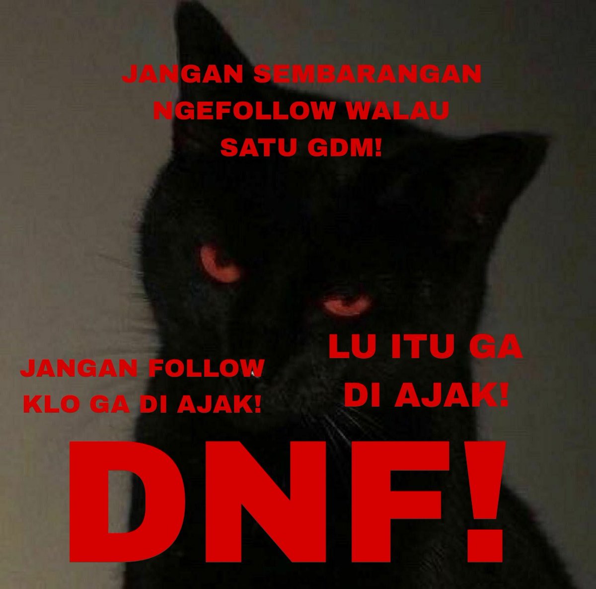 Jelin asem tweet media