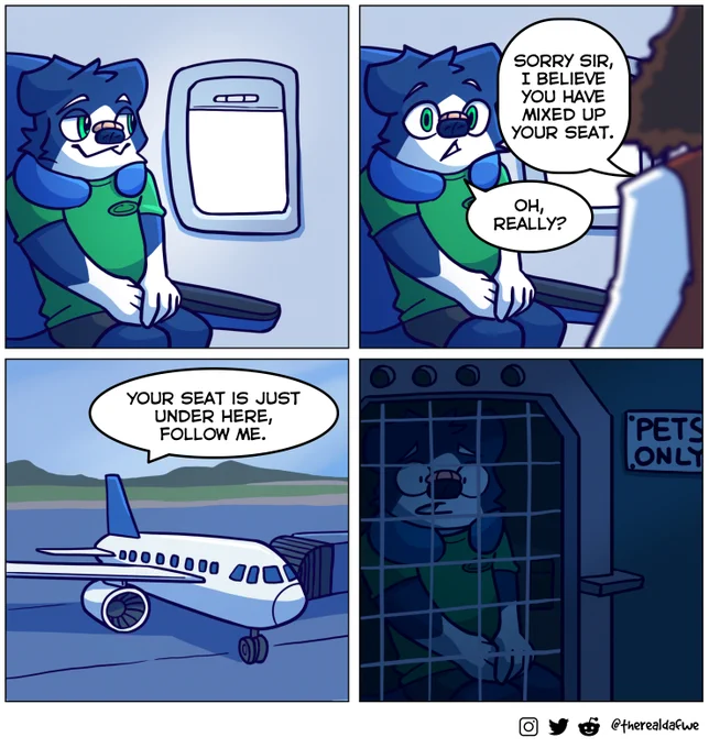 Is this… still economy class? 😳 
