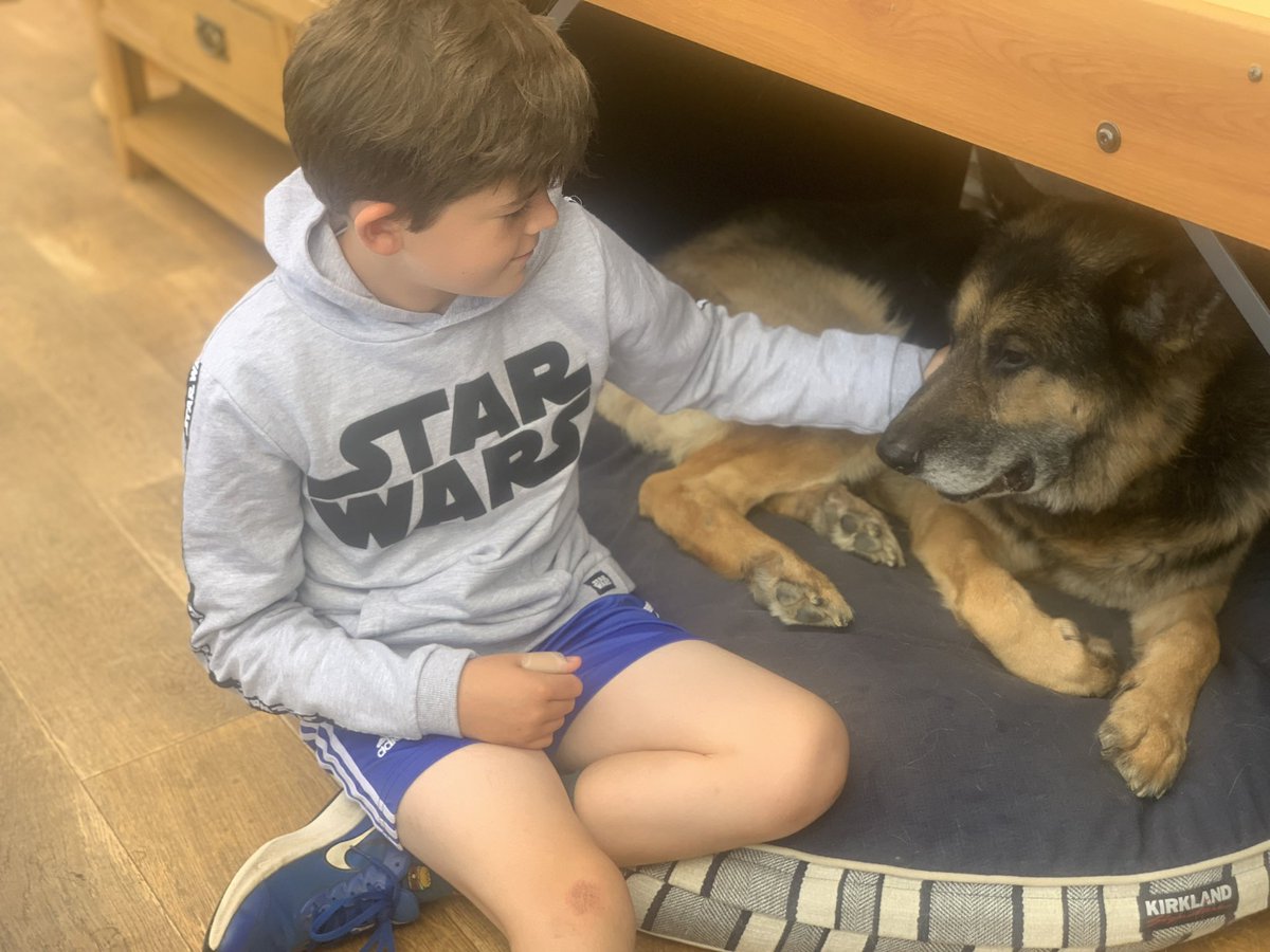 Mae yna wagle mawr yn ein teulu wrth inni golli Hero heddi, y ci gore erioed. 💔

A sad day today losing Hero - the best dog ever. 💔