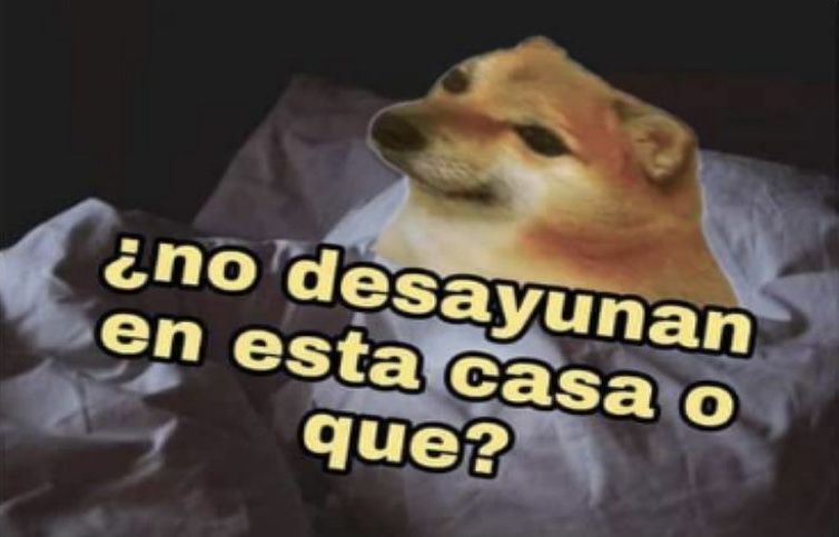 FenrirConRizos's tweet photo. https://t.co/slPDx4fMcA