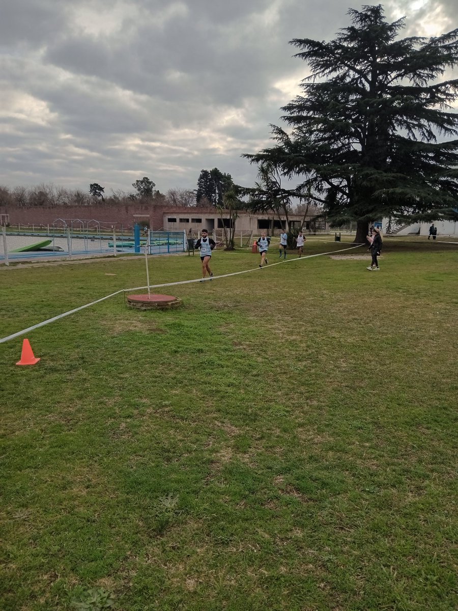 webfamok's tweet photo. LA TRIBU ARRANCO CON SU PRIMER CROSS
En conjunto con la FAM, se corre en el CENADE.
En una mañana gris y fría se realiza el primer cross organizado y fiscalizado entre la Agrupación Atletica La Tribu y la Federacion Atletica Metropolitana. https://t.co/Ua3OoQIIEH