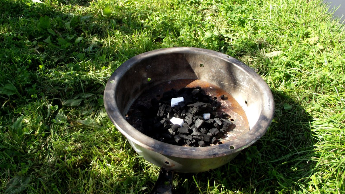 Hoof Hearted tweet media