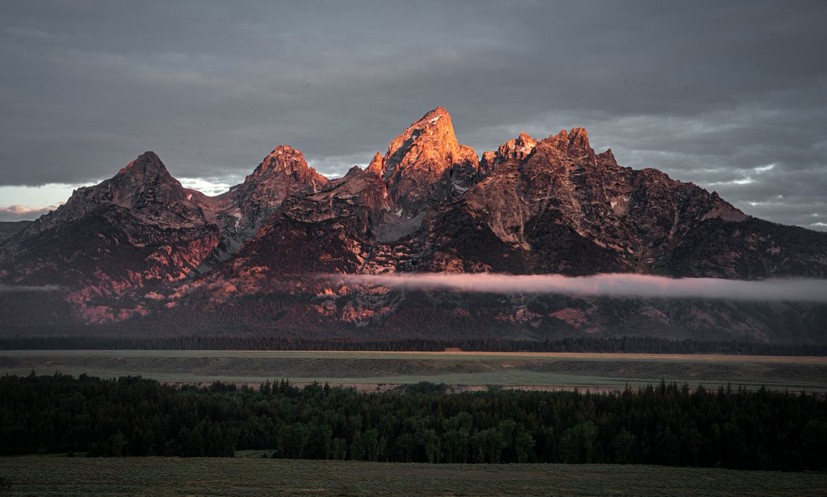 Matt Yao 🧭 tweet media