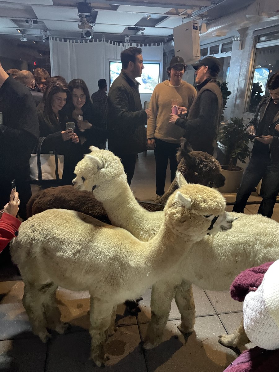 Matt Yao 🧭 tweet media